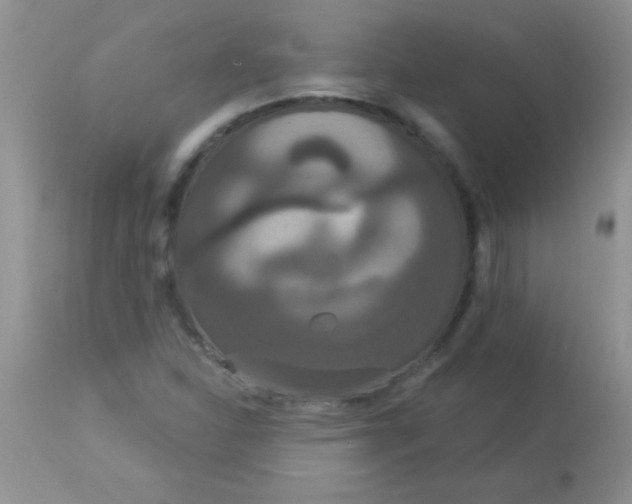 X0000113061310200909181951