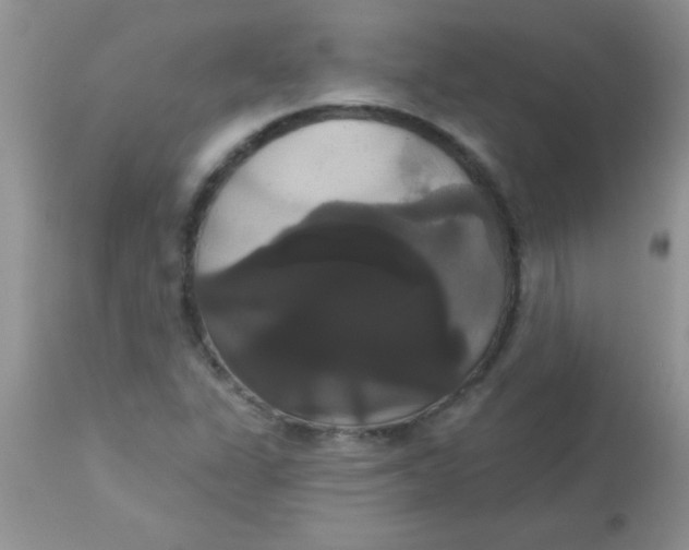X0000113061311200909181951
