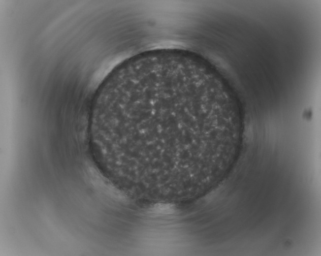 X0000113061313200909181951