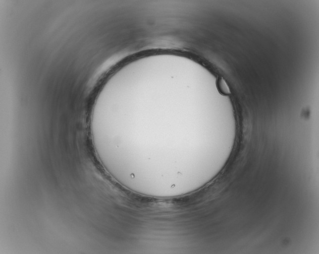 X0000113061315200909181951