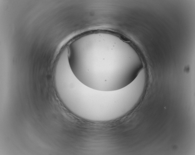 X0000113061316200909181951