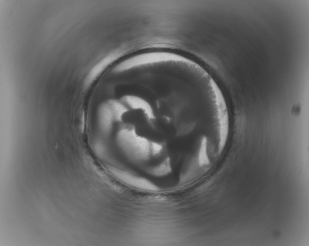 X0000113061317200909181951