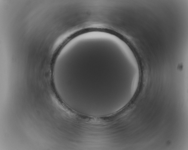 X0000113061319200909181951