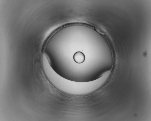 X0000113061320200909181951