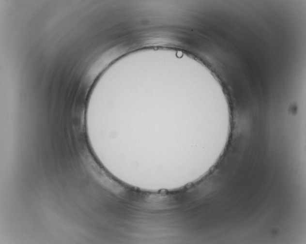 X0000113061322200909181951
