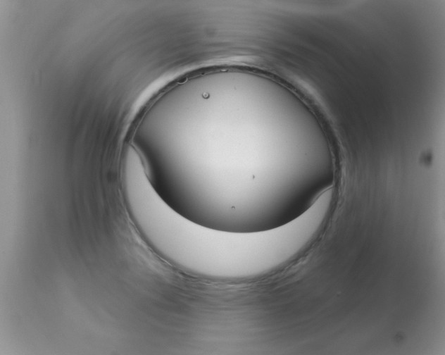X0000113061324200909181951