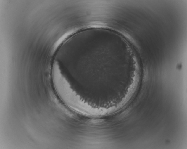 X0000113061325200909181951