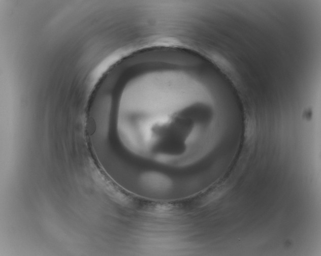 X0000113061326200909181951