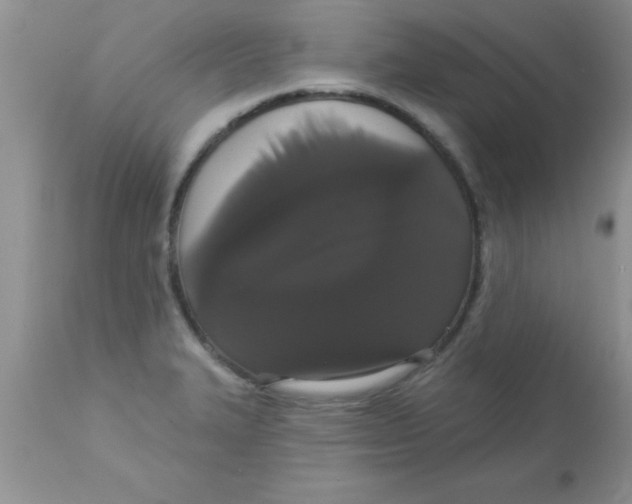 X0000113061327200909181951