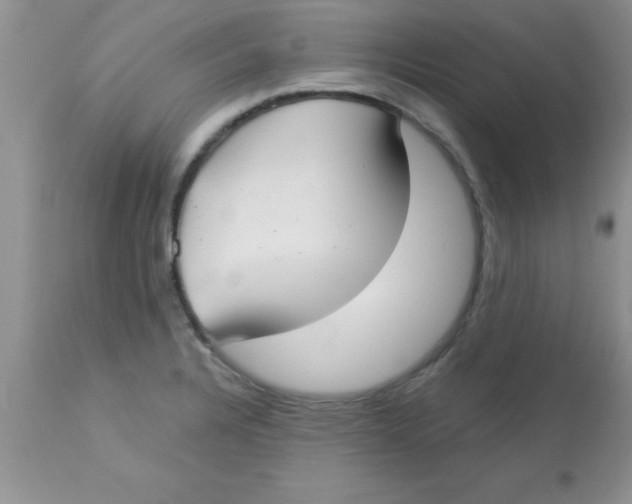 X0000113061328200909181951