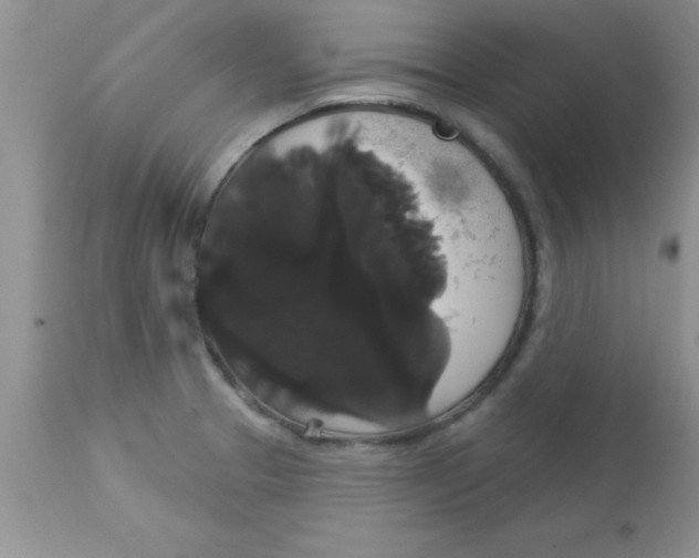 X0000113061329200909181951