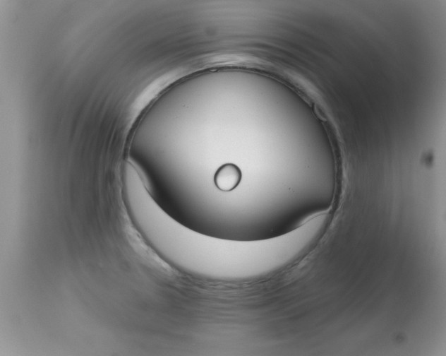 X0000113061330200909181951
