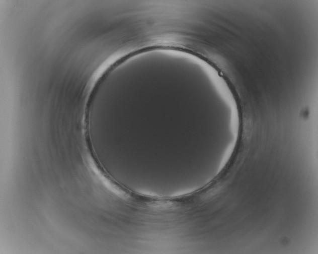 X0000113061331200909181951