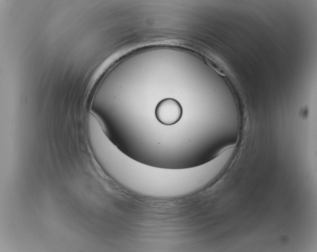 X0000113061332200909181951