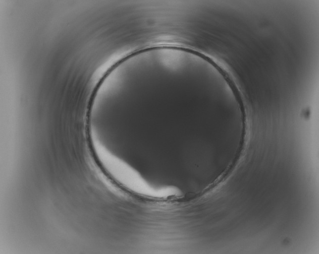 X0000113061333200909181951