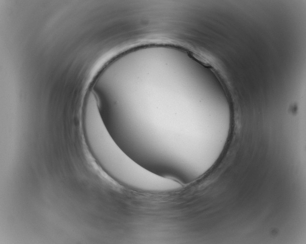 X0000113061334200909181951