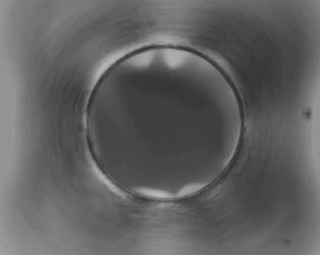 X0000113061335200909181951