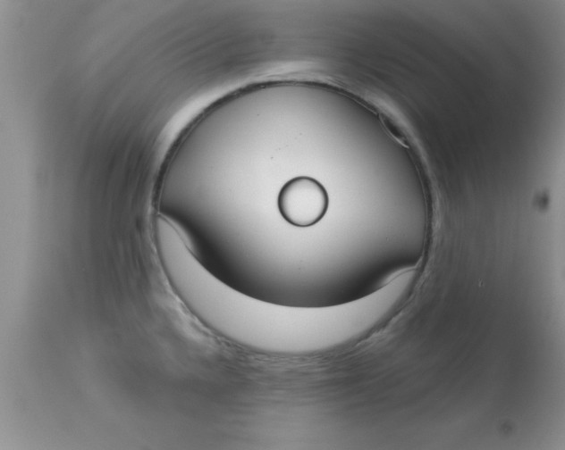 X0000113061336200909181951