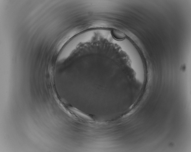 X0000113061337200909181951
