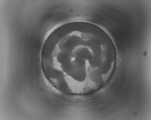 X0000113061341200909181951