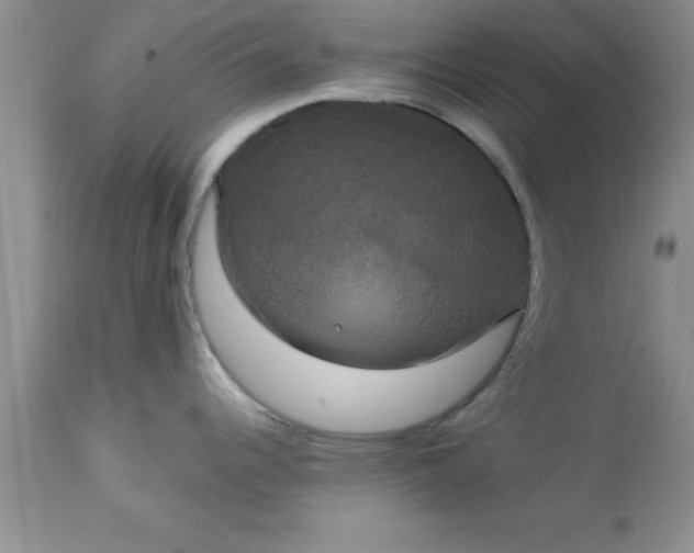 X0000113061344200909181951