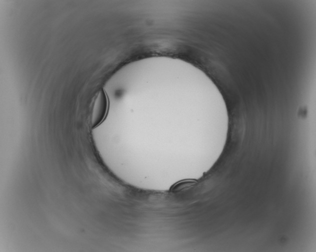 X0000113061345200909181950