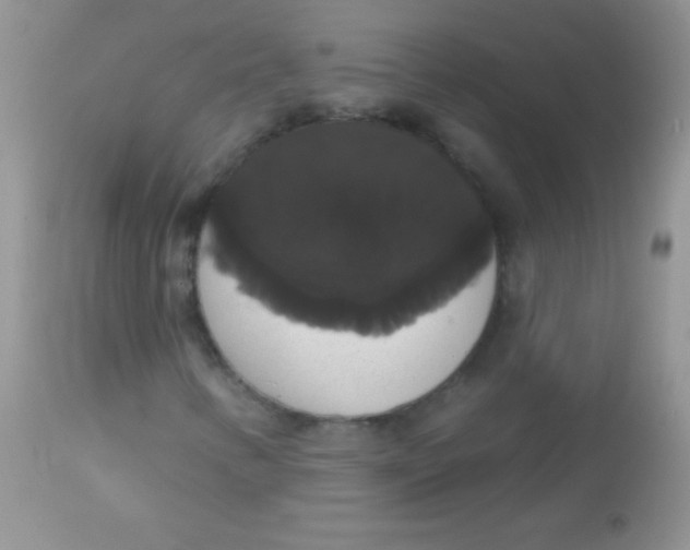 X0000113061346200909181950