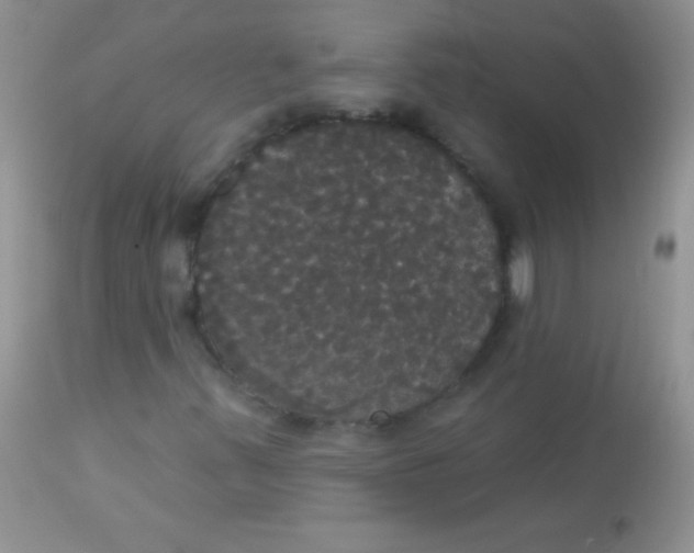 X0000113061347200909181950