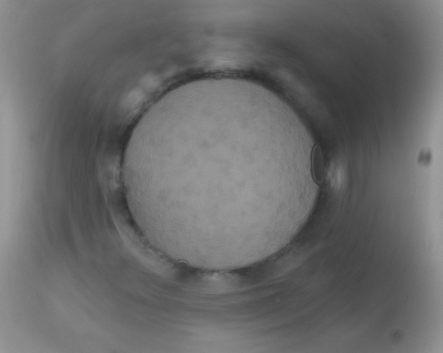 X0000113061348200909181950