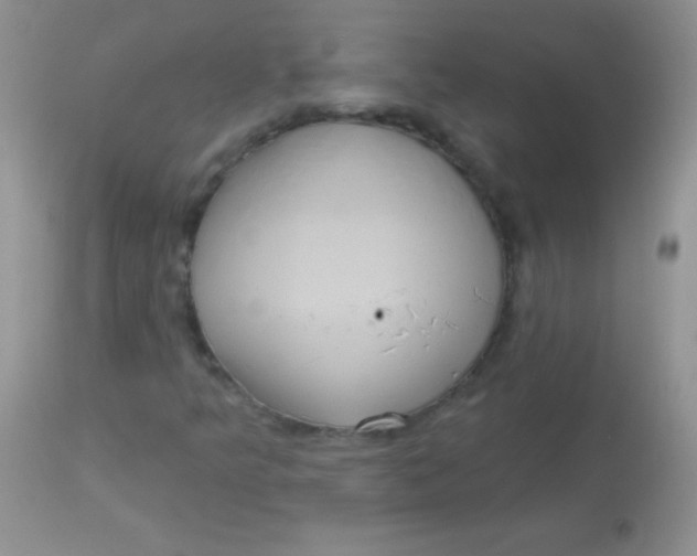 X0000113061349200909181950