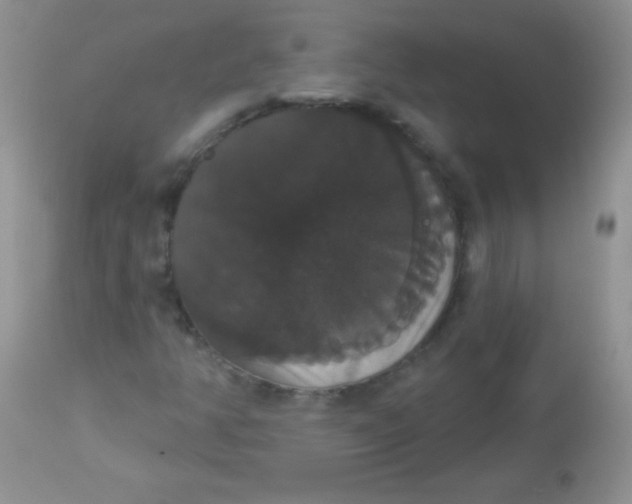 X0000113061350200909181950