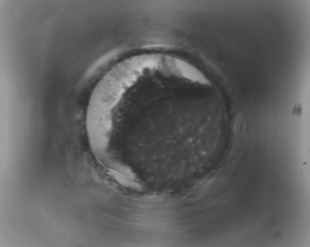 X0000113061351200909181950