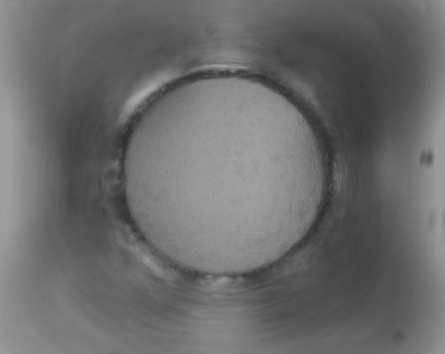 X0000113061352200909181950