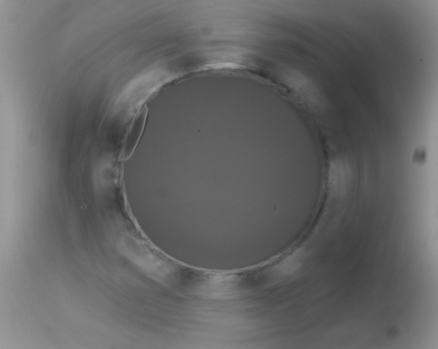 X0000113061353200909181950