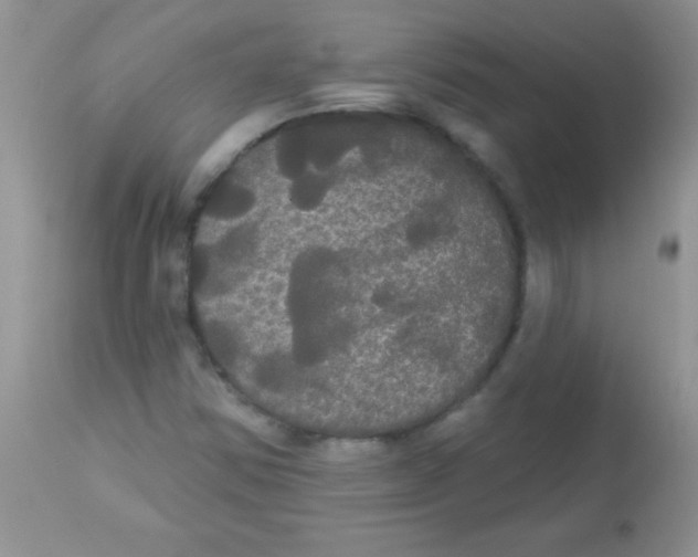 X0000113061354200909181950