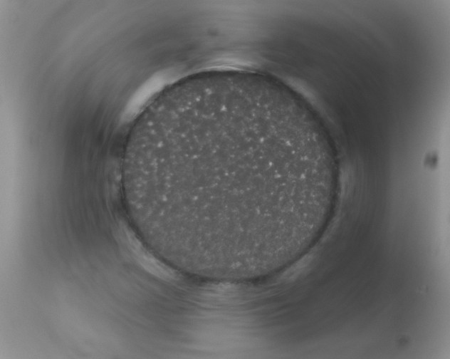 X0000113061355200909181950
