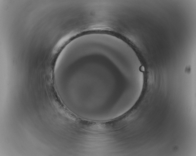 X0000113061358200909181950