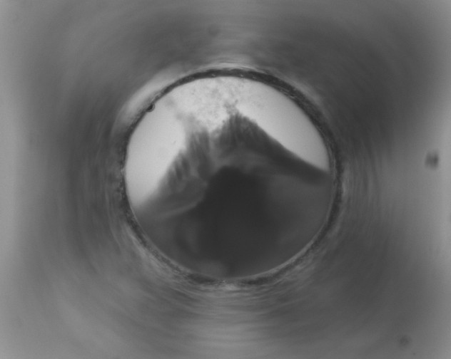 X0000113061359200909181950