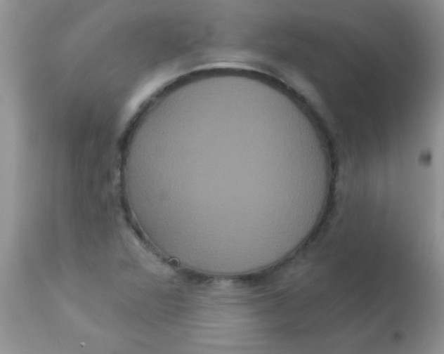 X0000113061360200909181950