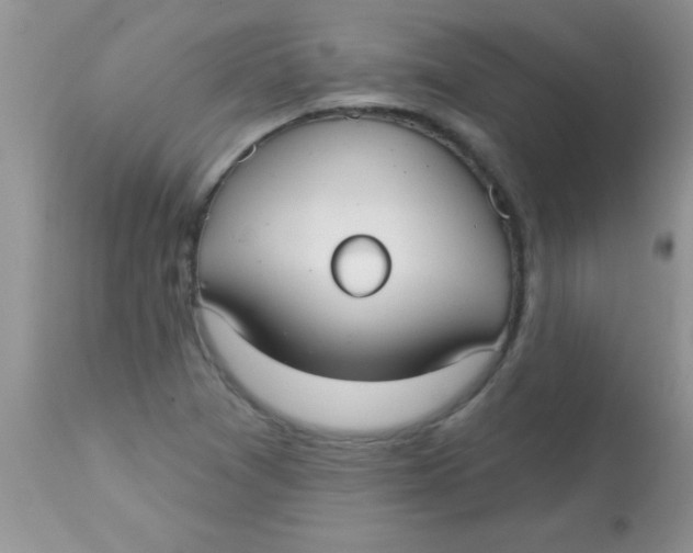 X0000113061361200909181950