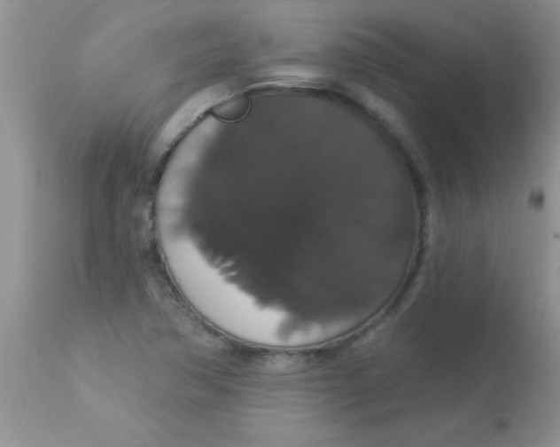 X0000113061362200909181950