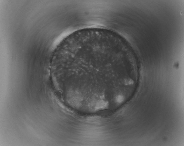 X0000113061363200909181950