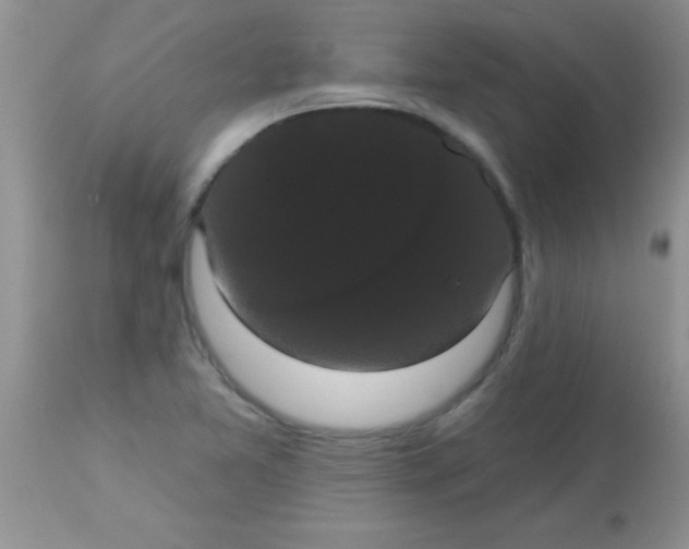 X0000113061365200909181950