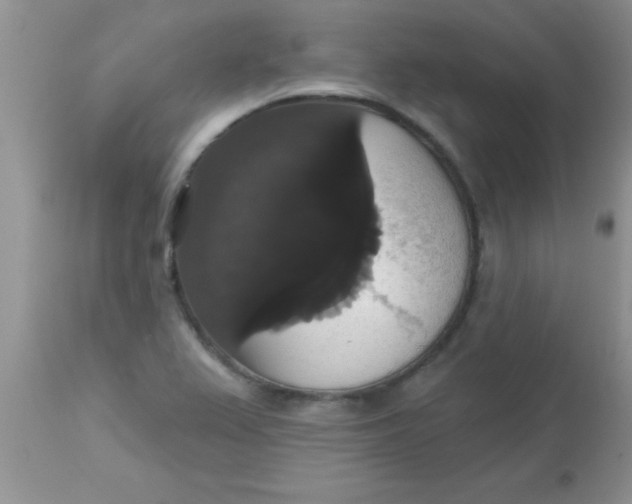 X0000113061367200909181950