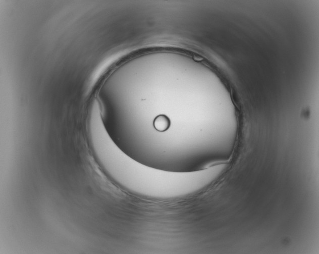X0000113061368200909181950