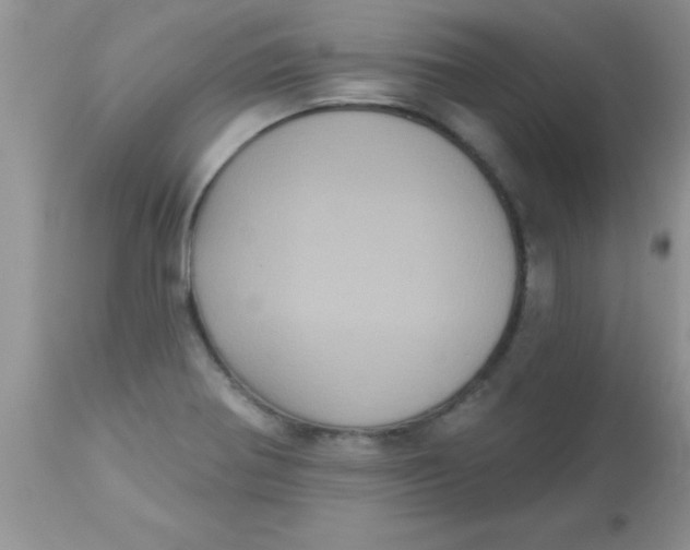 X0000113061370200909181950
