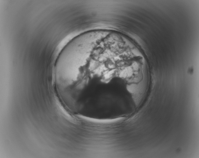 X0000113061371200909181950