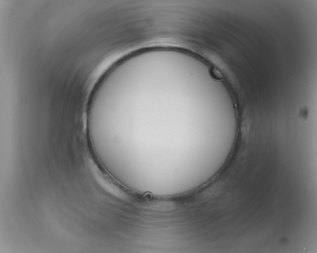 X0000113061372200909181950