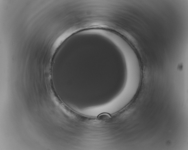 X0000113061373200909181950