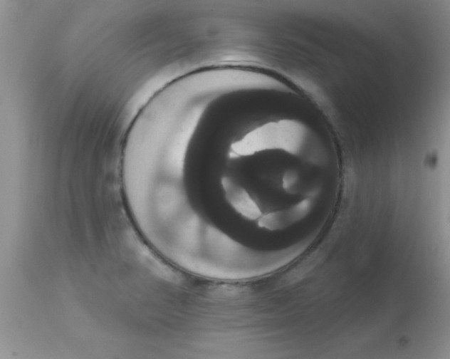 X0000113061374200909181950